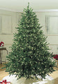 6' Sequoia Evergreen Christmas Tree with Pure White LED Lights