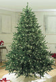 9' Sequoia Evergreen Christmas Tree Double Lit with Pure White LED Lights