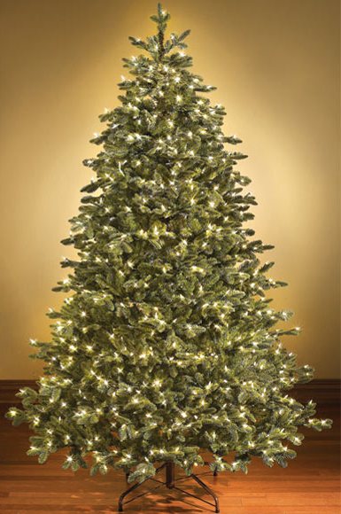 9' Sequoia Evergreen Christmas Tree with Warm White LED Lights