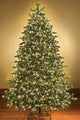 9' Sequoia Evergreen Christmas Tree with Warm White LED Lights