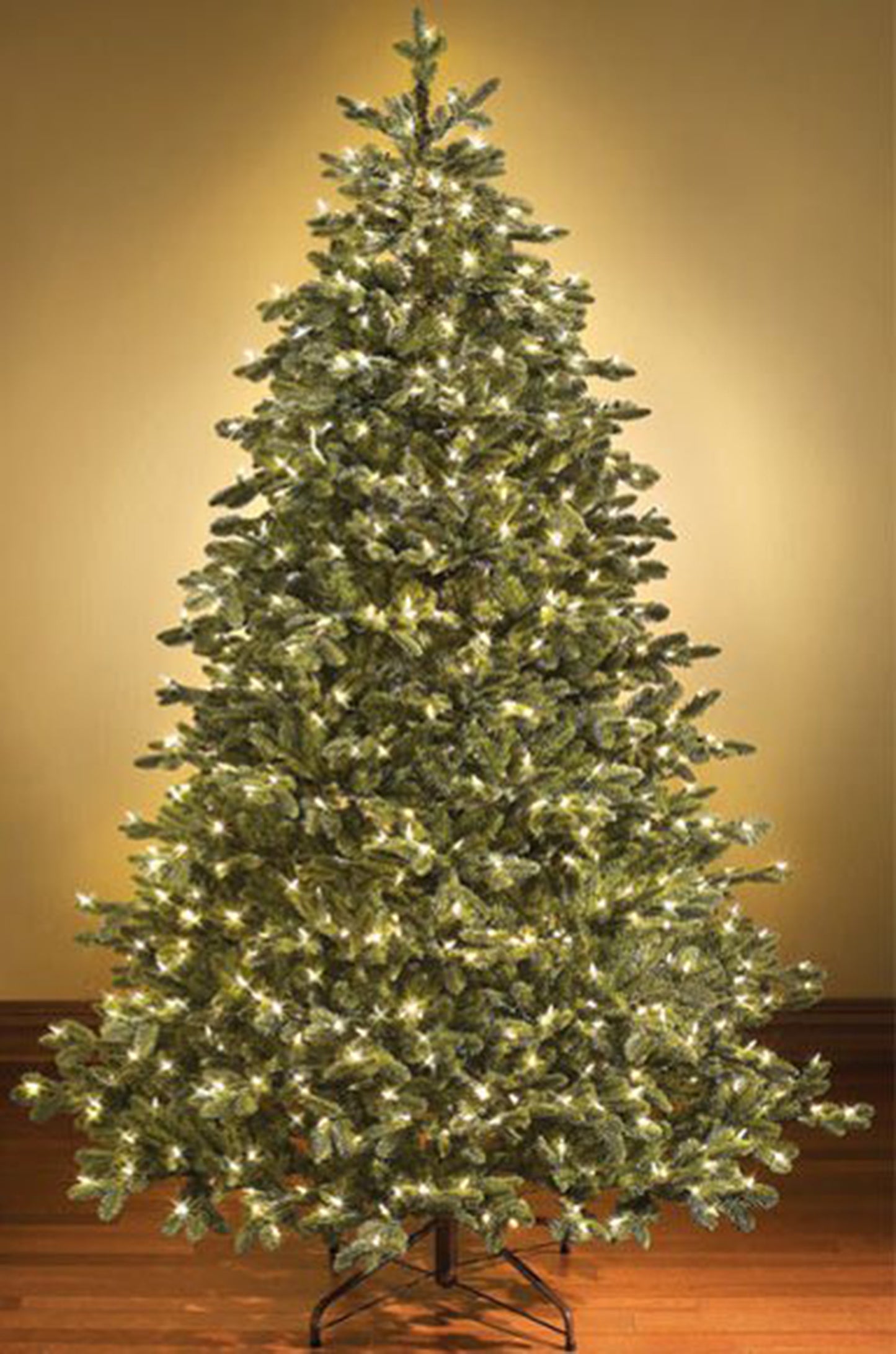 18' Sequoia Evergreen Christmas Tree with Warm White LED Lights