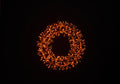 2' Orange Micro LED Wreath with Orange Frame