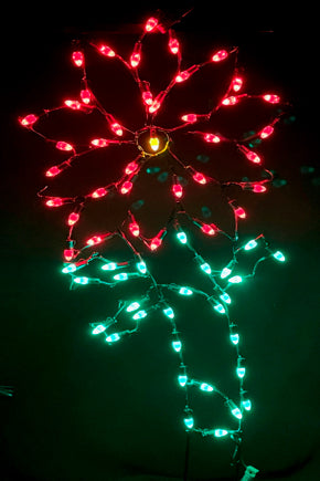 5' Poinsettia with Stem